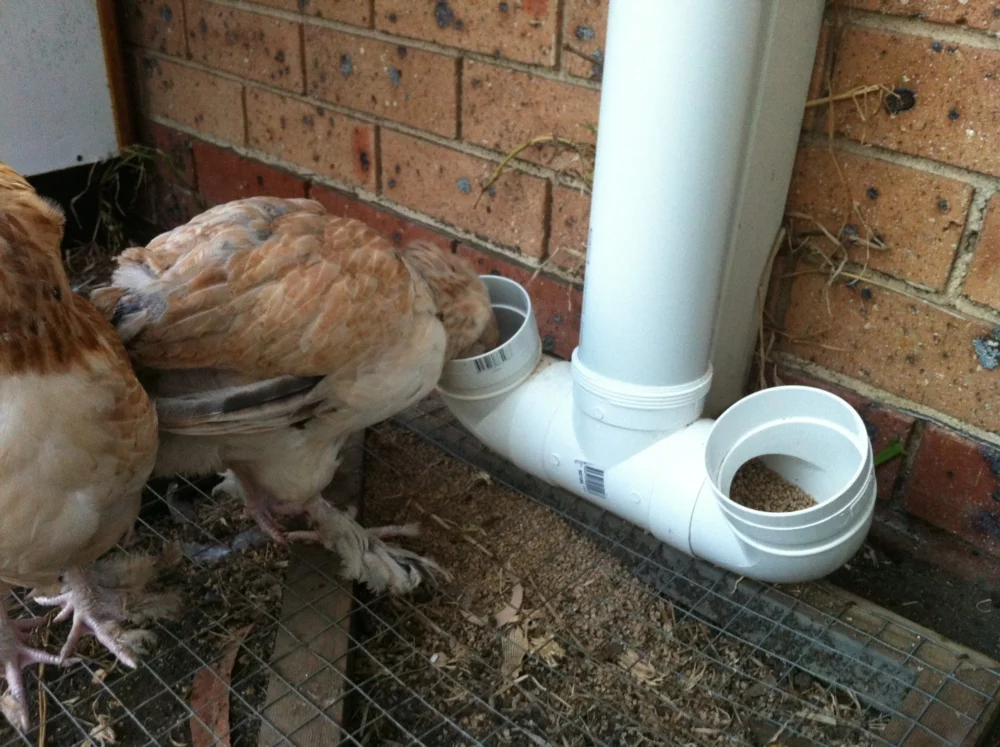 27 DIY PVC Pipe Chicken Feeder Plans