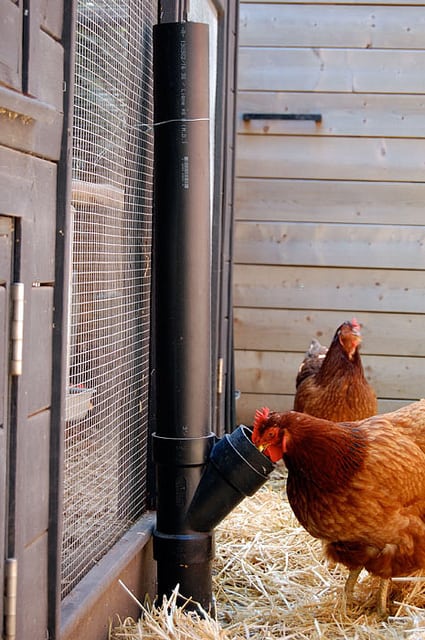 DIY Chicken Feeder – No Spill Feeders Reduce Rodents!