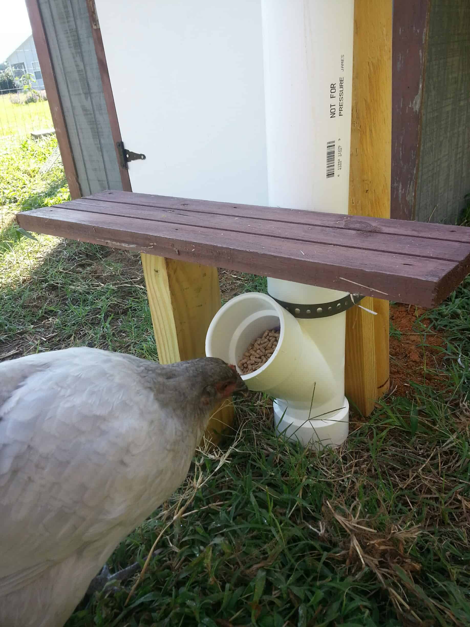 DIY PVC Chicken Feeder for Small Coops – My Pet Chicken Blog