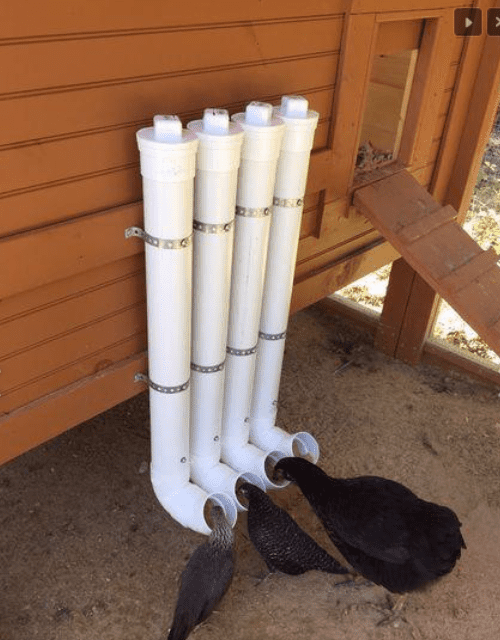 How To Use PVC Pipe for Chicken Feeder – Daily Engineering