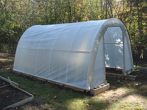 How to Build My Greenhouse at a Low Cost