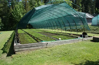 How to Build a Greenhouse from PVC Pipe