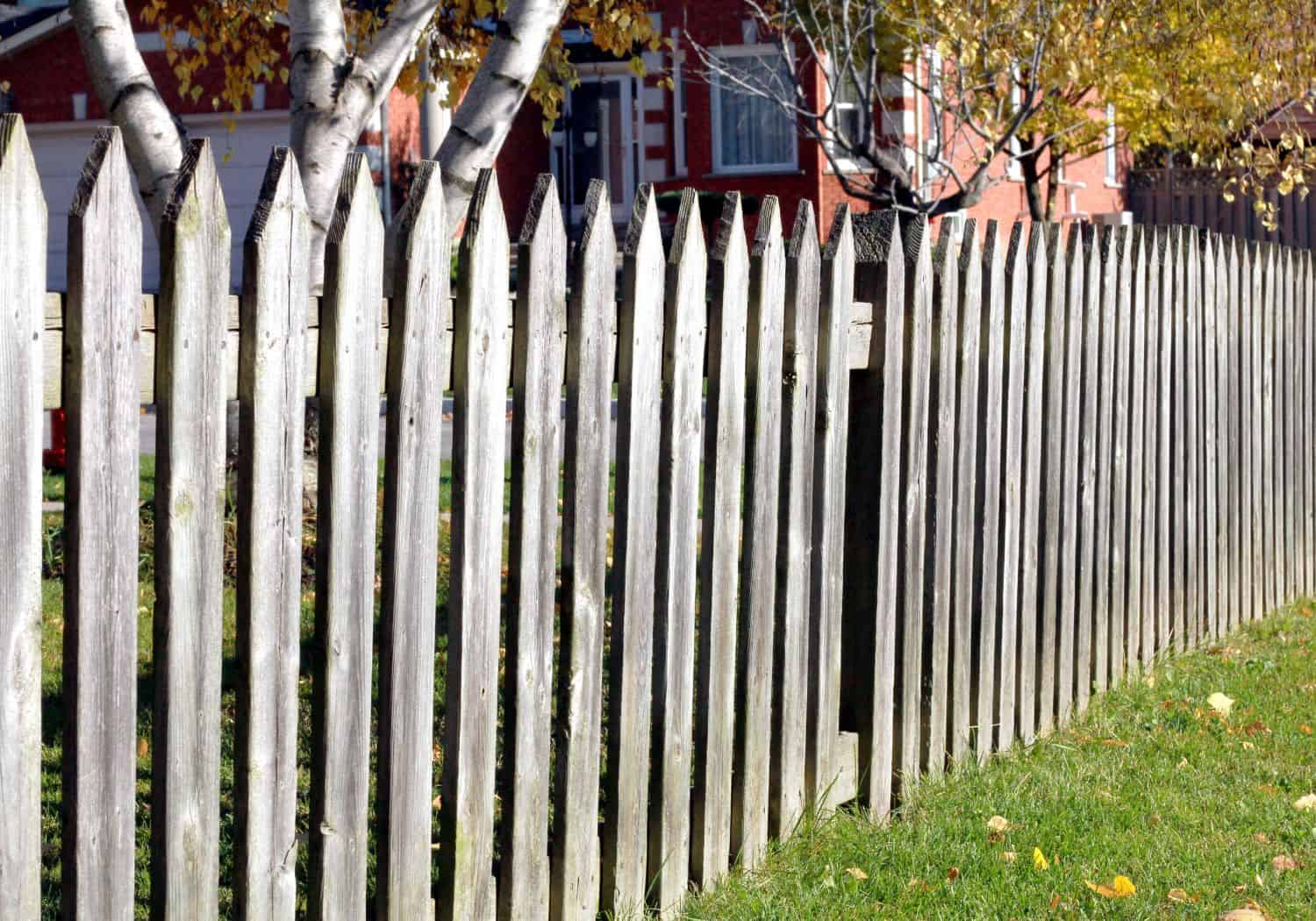 Screws to Avoid When Building Your Wooden Fence