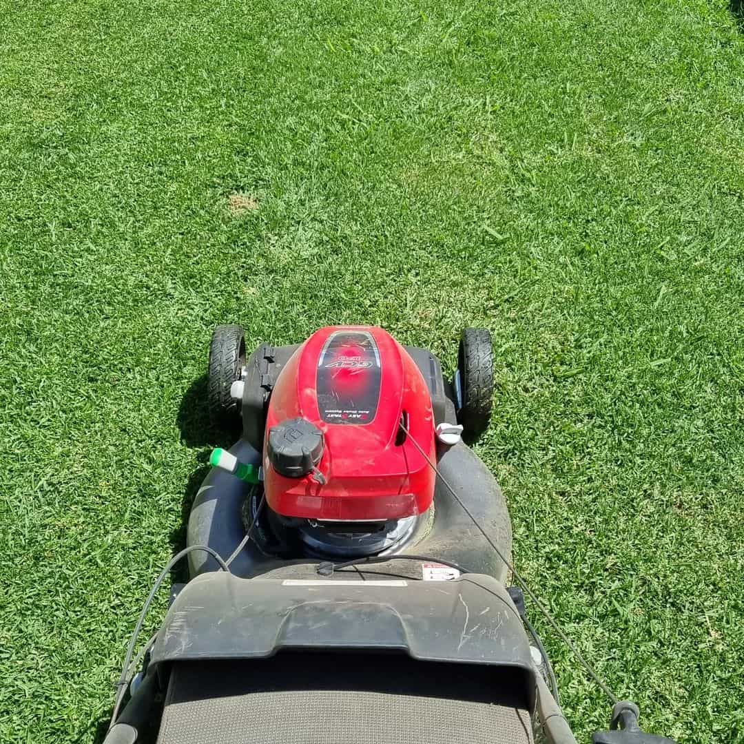 Other Common Problems With Your Honda Mower