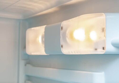 Can You Use A Regular Light Bulb In A Refrigerator?