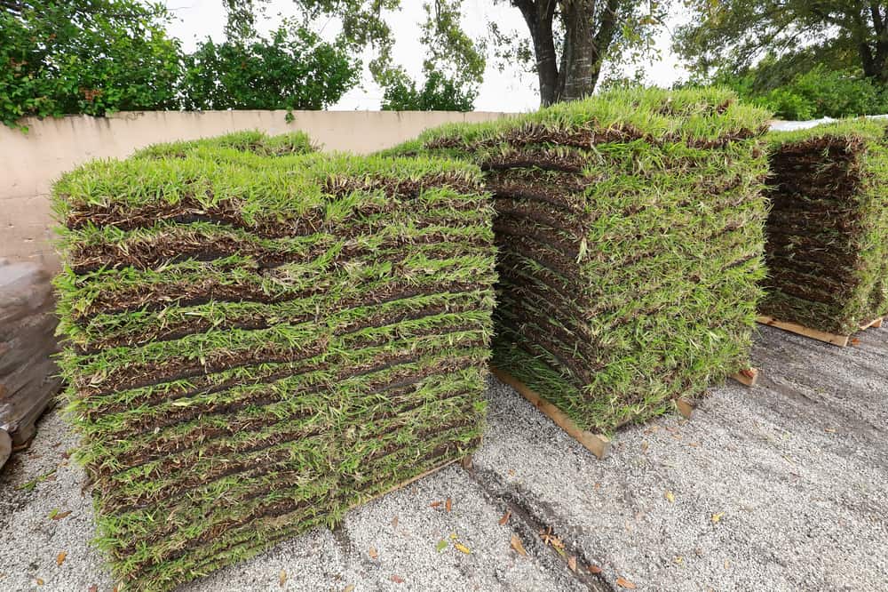 how much does a pallet of sod cost at home depot